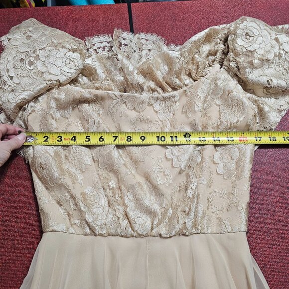 VTG 60s Werlé Beverly Hills Lace Chiffon Silk Gown 4 Champaign Flutter Princess - Picture 10 of 12